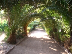 Jardin historico hacienda la vara 04