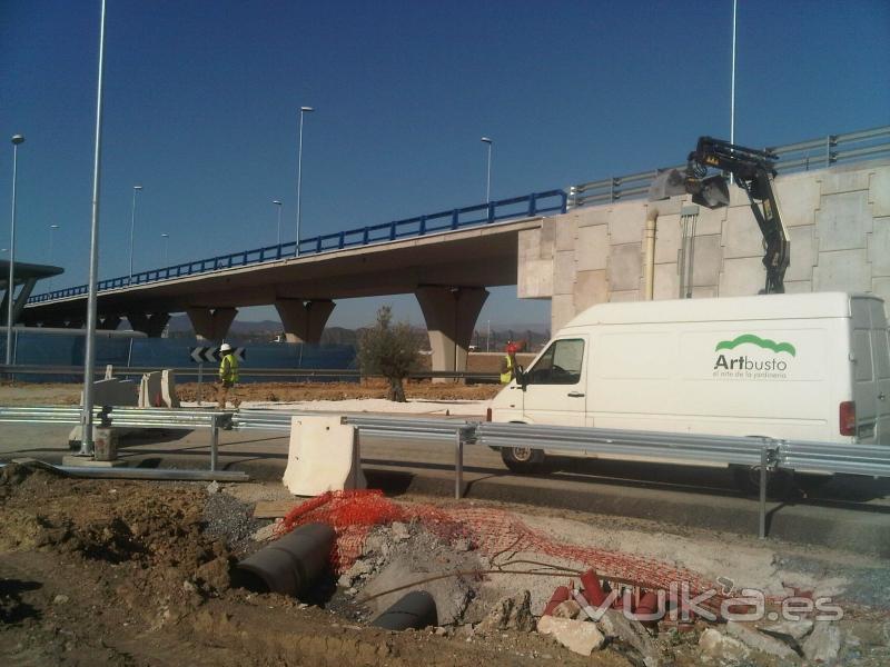 Trabajos de Reforestacin Talud del aeropuerto