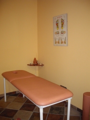 Terapies naturals, dietista, massatgista, acupuntura, drenatge limfatic