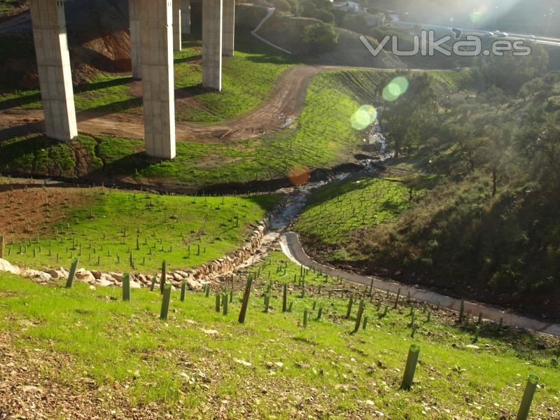 Fotografía del resultado del tratamiento paisajístico en la Ronda de Málaga