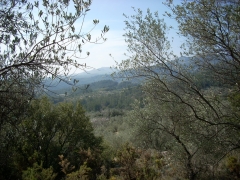 Rossell - finca rustica  4475 m2 con agua vistas impresionantes 4000 euros