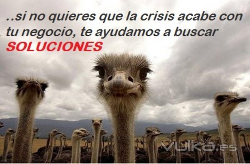 Soluciones a la crisis