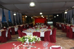 Salon la plana
