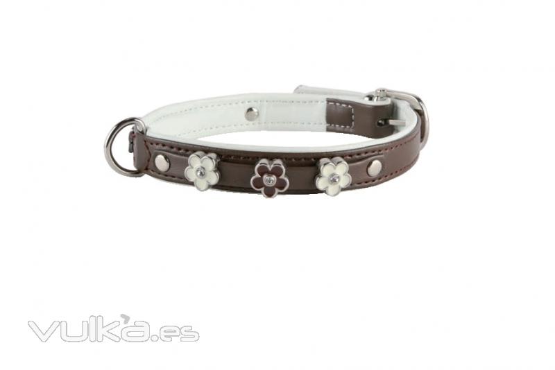 collar para perro anbeg disponible en varios colores