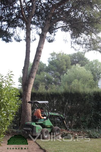 excavacin mecanica tocones arboles castellon