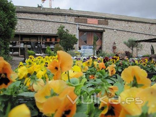 agriplant huguet centro de jardineria calaf barcelona