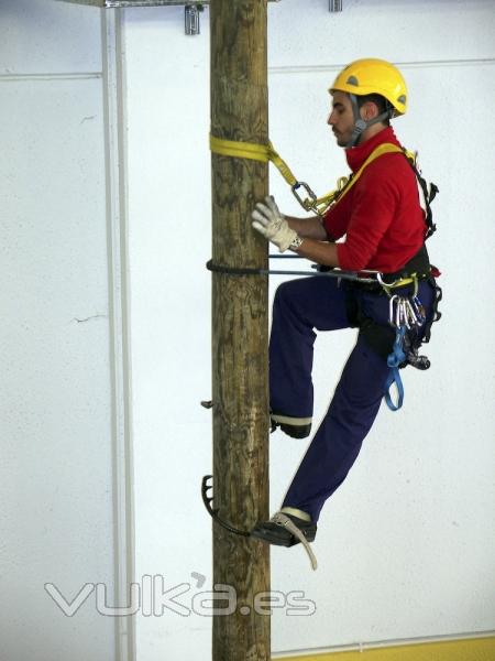 Curso de Altura sobre apoyos de madera en nuestras instalaciones de Ontigola