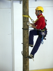 Curso de altura sobre apoyos de madera en nuestras instalaciones de ontigola