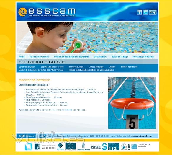 Diseño Web Valdepeñas, Esscam