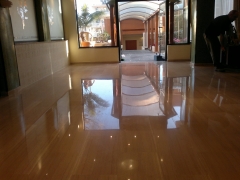 Marmol despues de tratamiento con dia poly