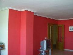 Pintor-alicante - foto 6