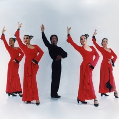 Juan carlos y su ballet flamenco (fundadores de la asociacion)