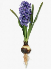 Jacintos artificiales de calidad. jacinto artificial lila con bulbo y hojas  oasisdecor.com