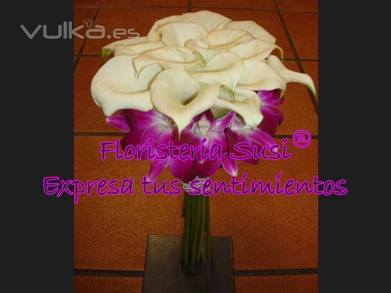 FLORISTERA SUSI