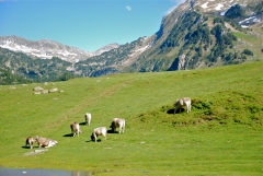 116 - paisajes