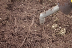 Descompactacion raices arboles