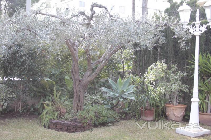 mantenimiento de jardines