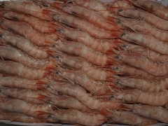 LA CORVINA PRODUCTOS SELECTOS Y CONGELADOS SA