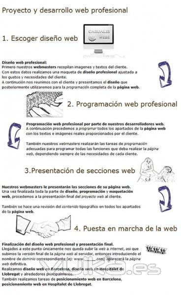 Diseo web profesional