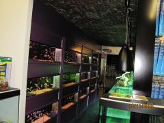 TUNEL ACUARIOFILAIA