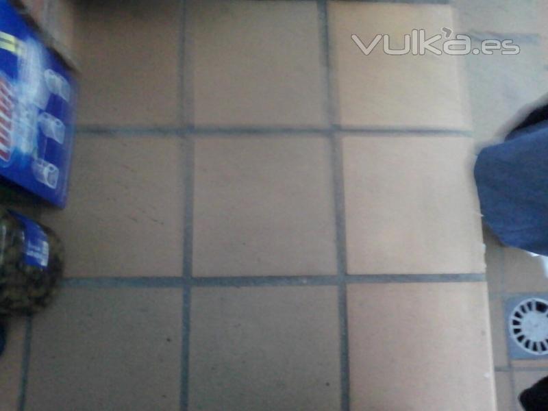 Reformasflor