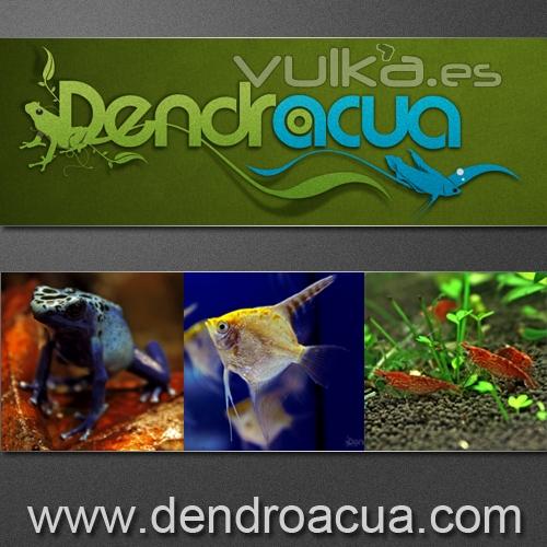 Dendroacua Tienda de peces, dendrobates y otros anfibios, invertebrados de agua dulce en Zaragoza.