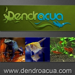 Dendroacua Tienda de peces, dendrobates y otros anfibios, invertebrados de agua dulce en Zaragoza.