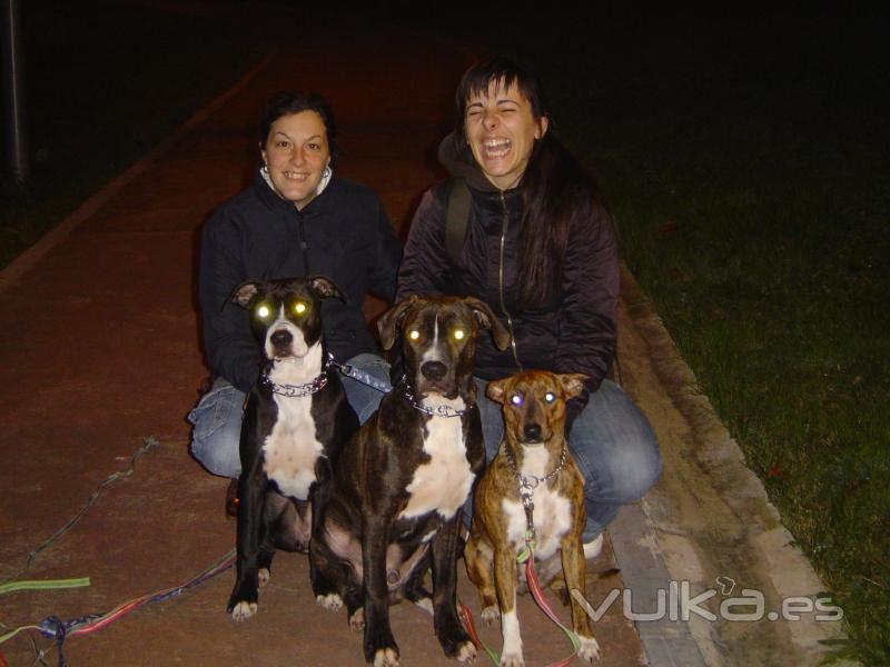 Educacin de Olatz y sus 3 perros
