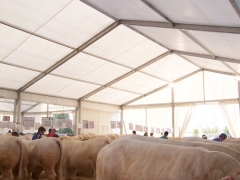 Carpa para ganado