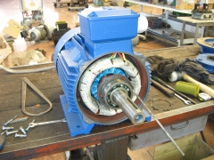 Motor electrico