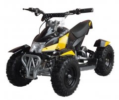 Quad electrico
