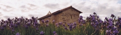 Ermita de santa centola y elena
