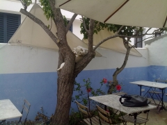 Velas exterior decoracion