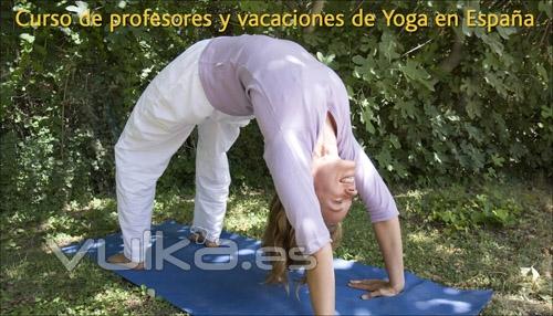 CENTRO DE YOGA SIVANANDA MADRID