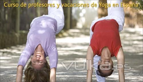 CENTRO DE YOGA SIVANANDA MADRID