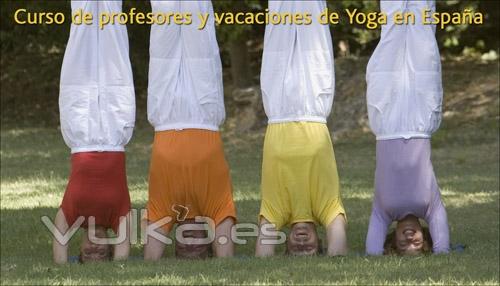 CENTRO DE YOGA SIVANANDA MADRID