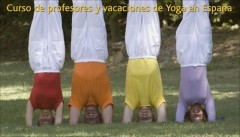 Foto 11 naturismo en Madrid - Centro de Yoga Sivananda Madrid