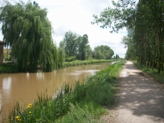 Camino de santiago junto al canal en fromista