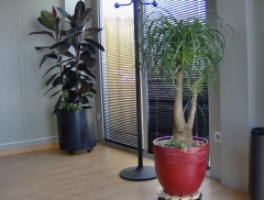 Decoración y mantenimiento interior