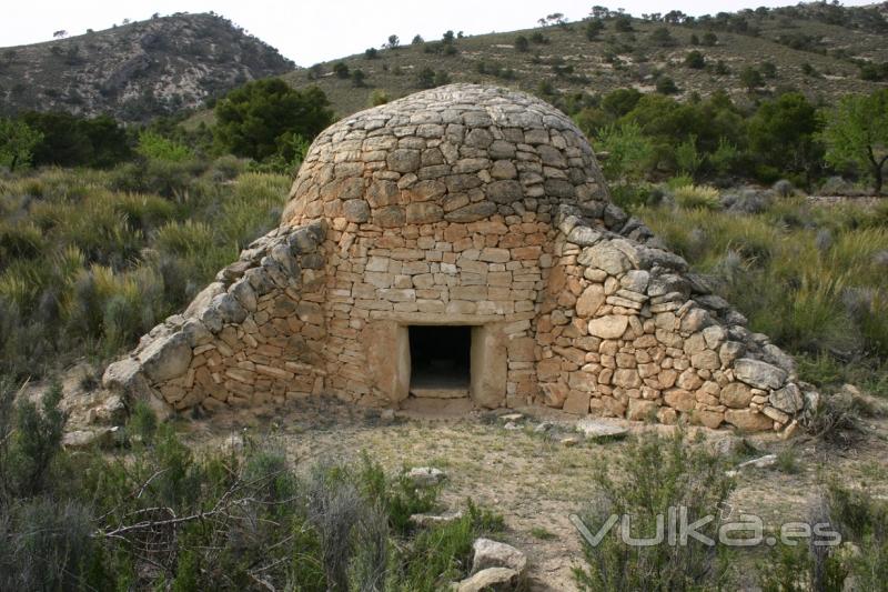 Cuco de la Alberquilla en Jumilla