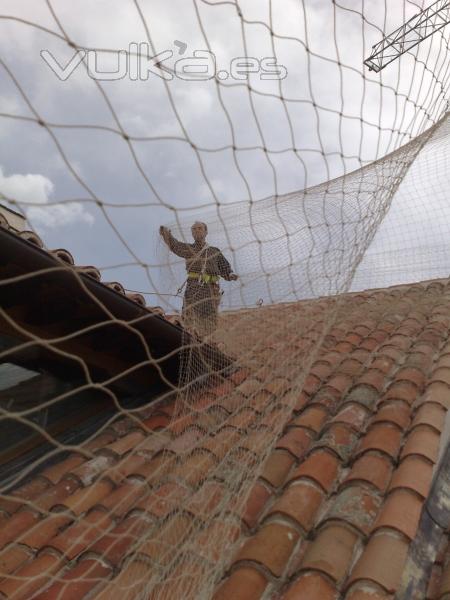 Montaje de redes contra palomas realizados por Ailcapa Servicios Ambientales S.L.