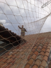 Montaje de redes contra palomas realizados por ailcapa servicios ambientales sl