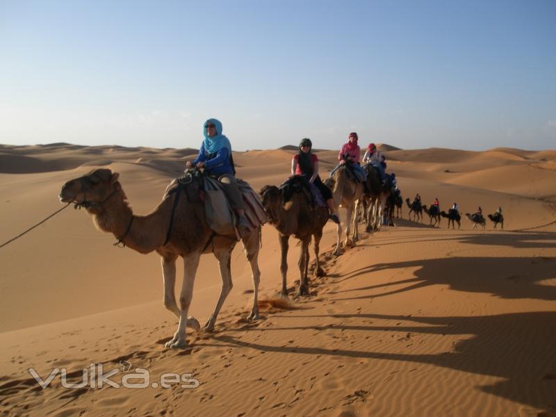 Estudiantes de viaje a Egipto
