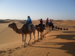 Estudiantes de viaje a egipto