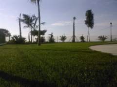 Evolution grass sl - foto 3