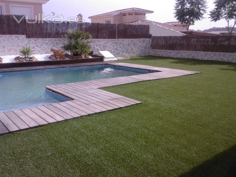 Evolution grass s.l