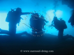 Mermaid diving moraira - centro de buceo - foto 25