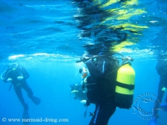 Mermaid diving moraira - centro de buceo - foto 2