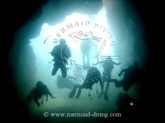 Mermaid diving moraira - centro de buceo - foto 33