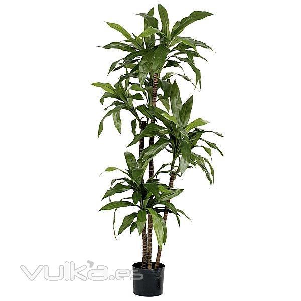 Planta artificial dracaena fragans 135 verde en lallimona.com